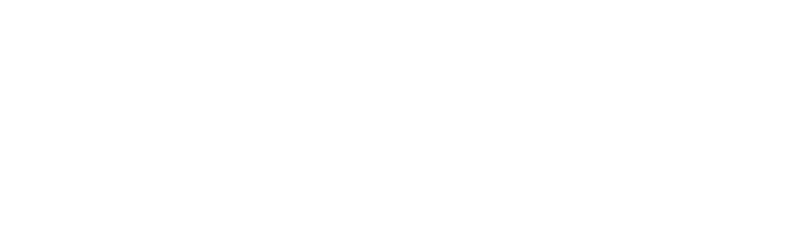 PERSUS Logo